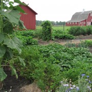 IMG5375.jpg