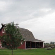 IMG5378.jpg
