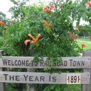 IMG5386.jpg