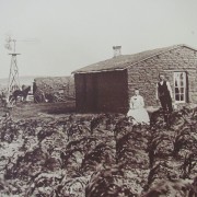 IMG5406.jpg