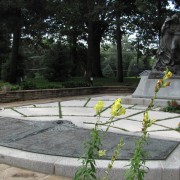 IMG5441.jpg