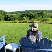 IMG6134.jpg