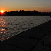 IMG6192.jpg