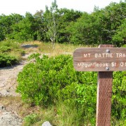 IMG6229.jpg