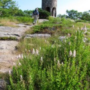 IMG6241.jpg
