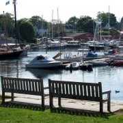 IMG6251.jpg