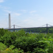 IMG6273.jpg