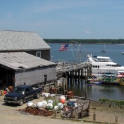 IMG6328.jpg