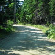 IMG6341.jpg