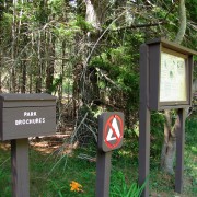 IMG6345.jpg