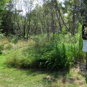 IMG6347.jpg