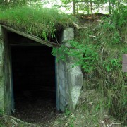 IMG6351.jpg