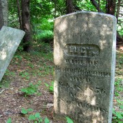 IMG6356.jpg