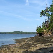 IMG6364.jpg