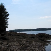 IMG6369.jpg