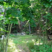 IMG6380.jpg