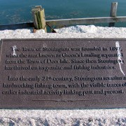 IMG6397.jpg