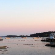 IMG6405.jpg