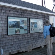 IMG6411.jpg