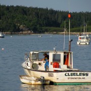 IMG6418.jpg