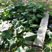 IMG6448.jpg