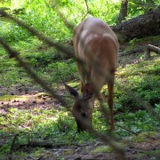 IMG6450.jpg
