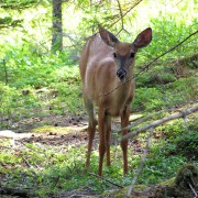 IMG6451.jpg