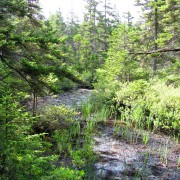 IMG6456.jpg