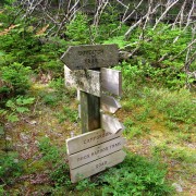 IMG6469.jpg