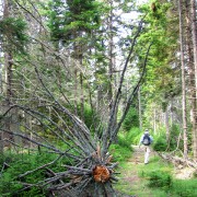 IMG6470.jpg