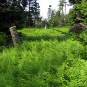 IMG6472.jpg