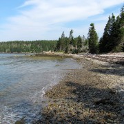 IMG6475.jpg