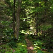 IMG6483.jpg