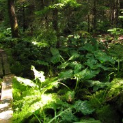 IMG6484.jpg