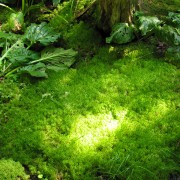 IMG6485.jpg
