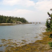 IMG6488.jpg