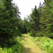 IMG6495.jpg