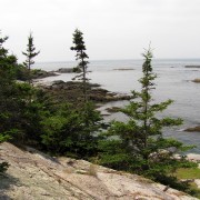 IMG6501.jpg