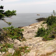 IMG6502.jpg