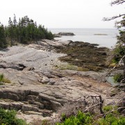 IMG6505.jpg