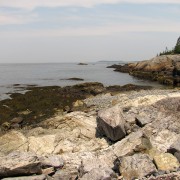 IMG6511.jpg