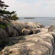 IMG6517.jpg