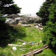 IMG6518.jpg