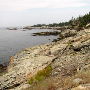 IMG6525.jpg
