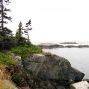 IMG6531.jpg