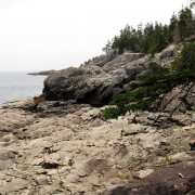 IMG6538.jpg