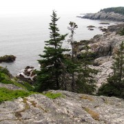 IMG6555.jpg