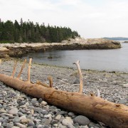 IMG6564.jpg