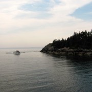 IMG6587.jpg
