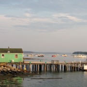 IMG6594.jpg